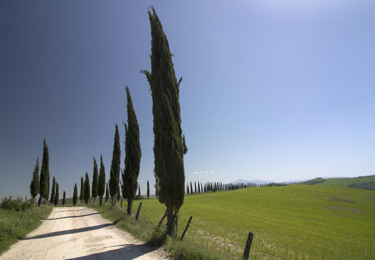 Baldovino Di Monte Bed & Breakfast Monte San Savino Exterior photo